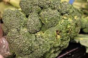 Steamed Broccoli